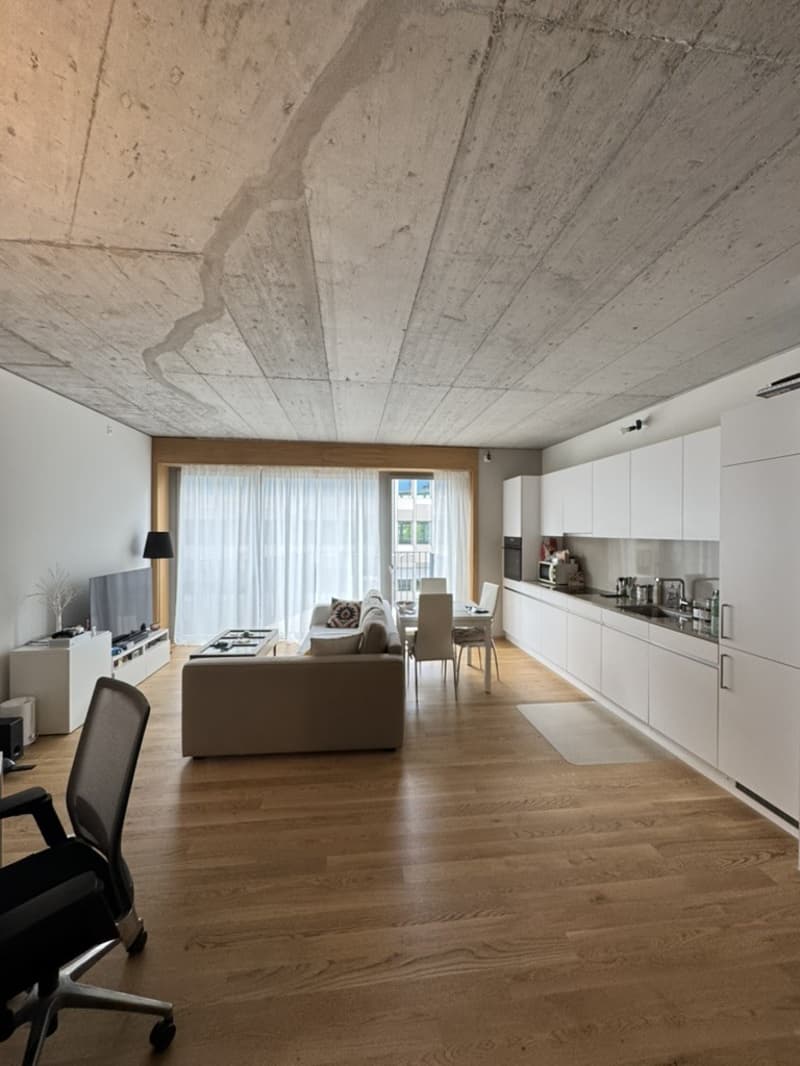 Modern 2.5-Room Apartment in Zurich Wiedikon (1)