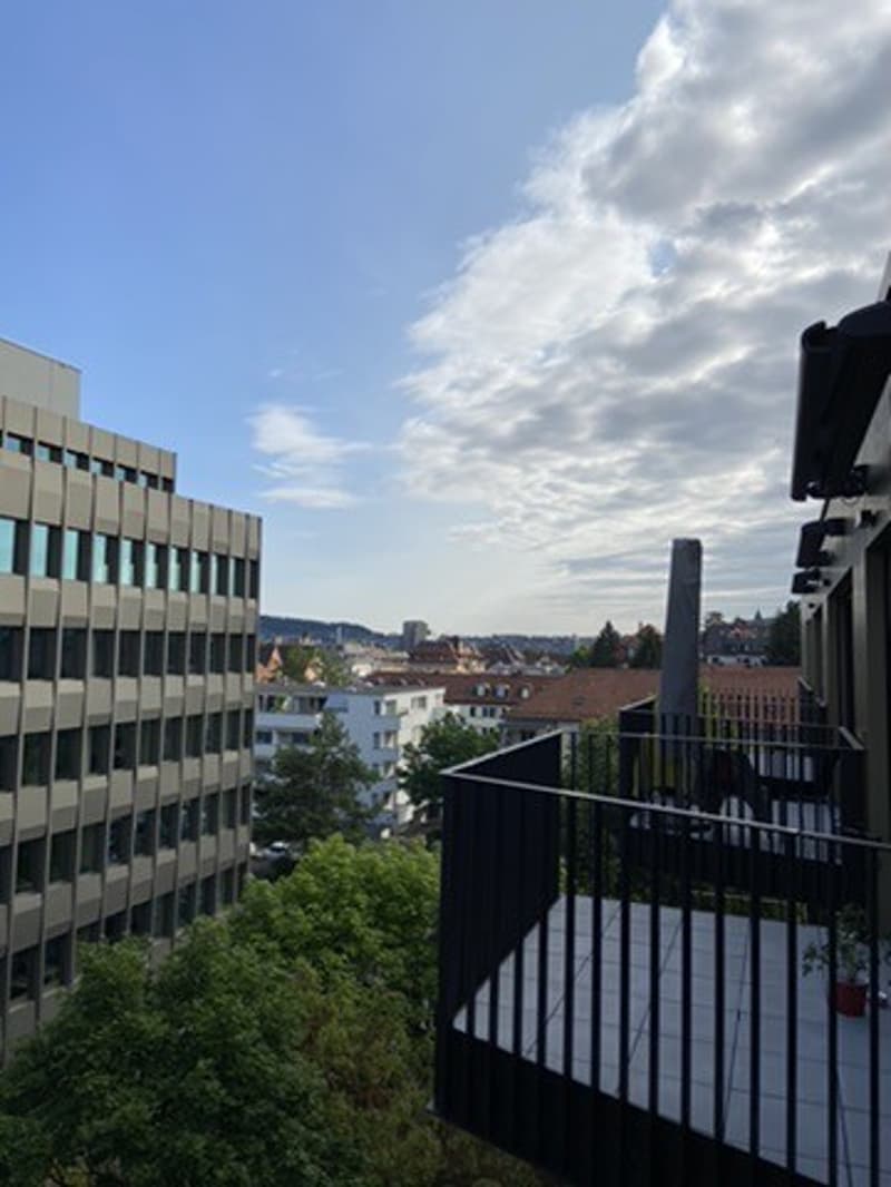 Modern 2.5-Room Apartment in Zurich Wiedikon (5)