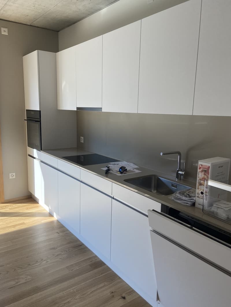Modern 2.5-Room Apartment in Zurich Wiedikon (2)