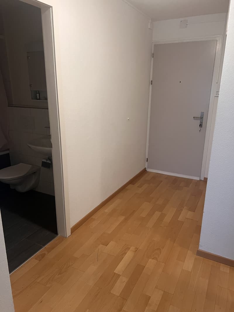 2-Zimmer Wohnung per sofort oder nach Vereinbarung (4)