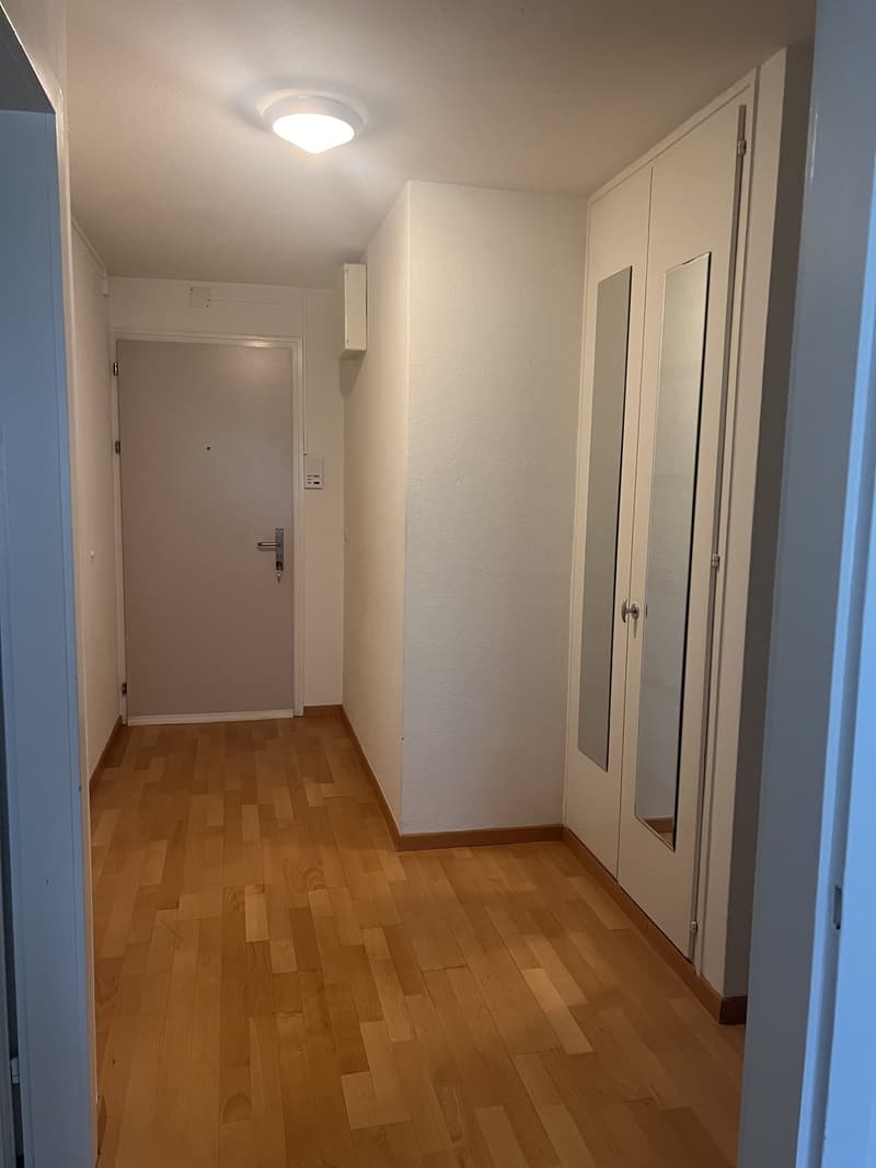 2-Zimmer Wohnung per sofort oder nach Vereinbarung (6)