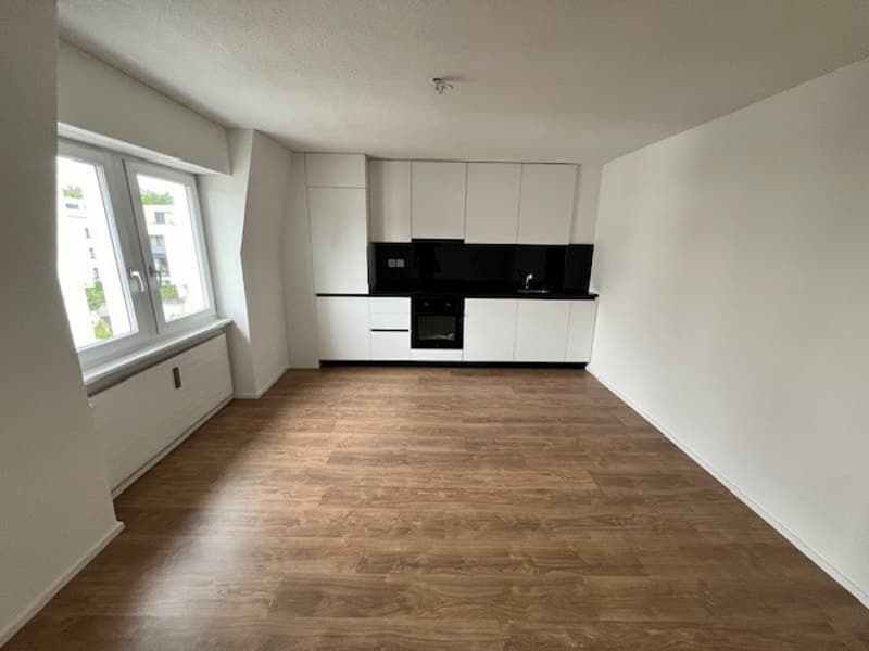 2 rooms apartment, 8280 kreuzlingen (1)