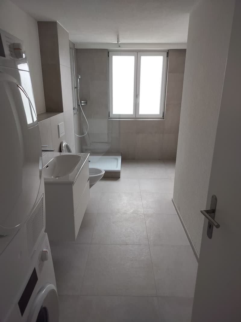 2 rooms apartment, 8280 kreuzlingen (4)