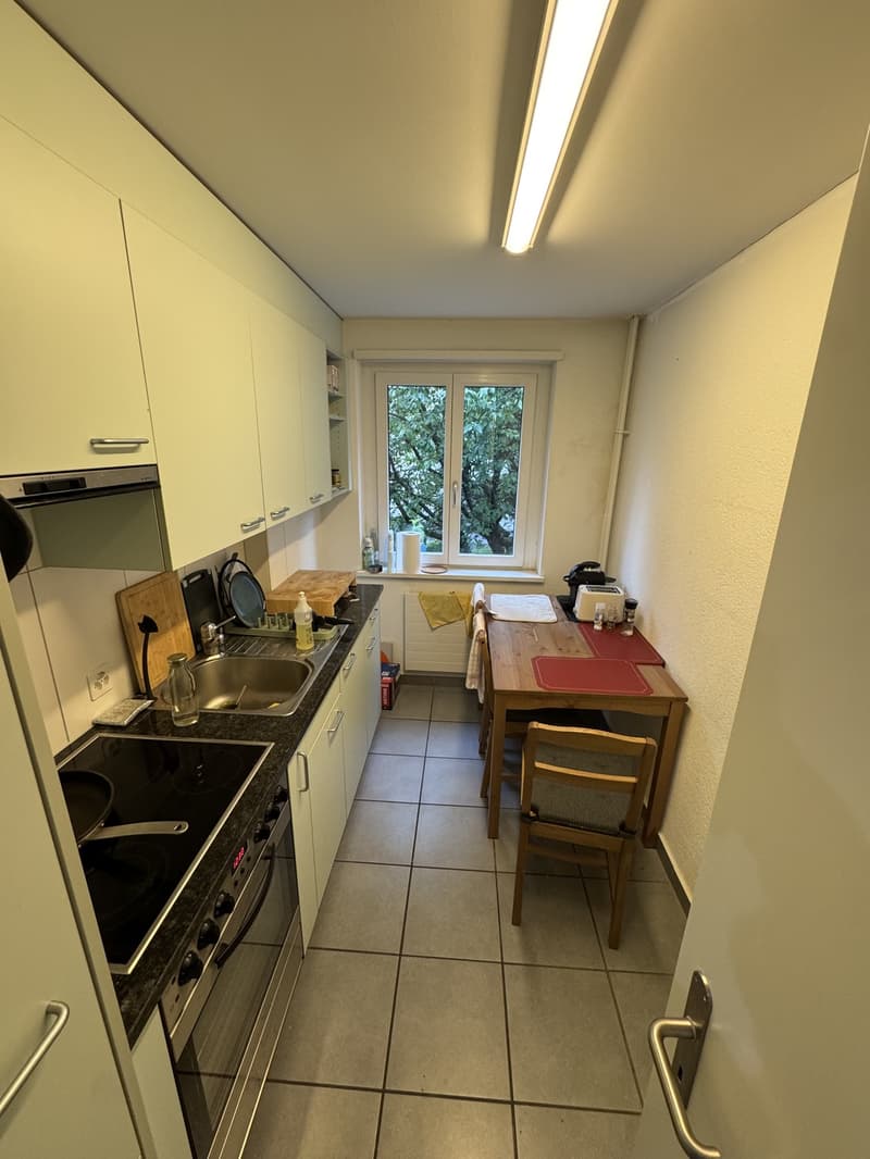 Wiedikon Living: Flexible Lease, Modern Setup, (7)