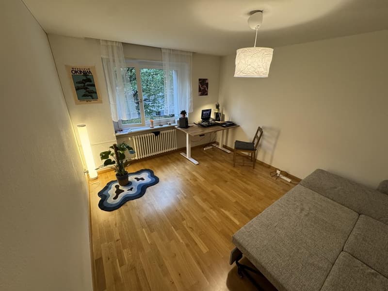 Wiedikon Living: Flexible Lease, Modern Setup, (6)