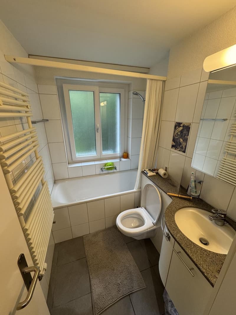 Wiedikon Living: Flexible Lease, Modern Setup, (8)