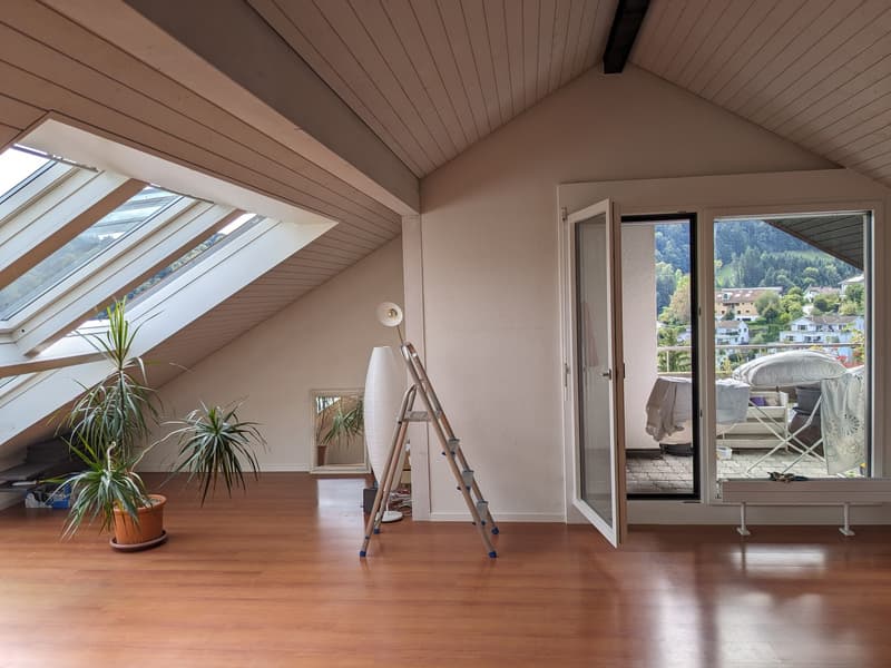 Sehr helle 2,5 Zimmer Wohnung mit toller Aussicht auf Rigi und Pilatus (2)