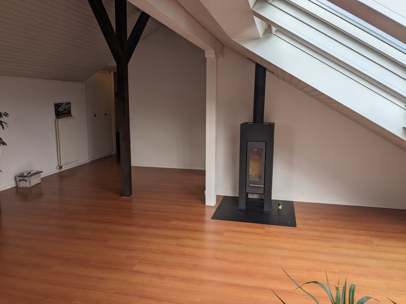 Sehr helle 2,5 Zimmer Wohnung mit toller Aussicht auf Rigi und Pilatus (3)