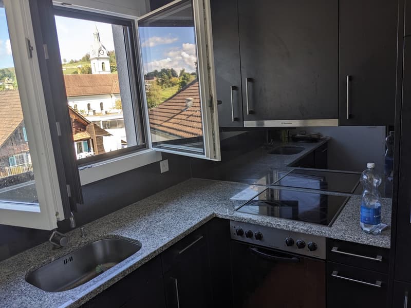 Sehr helle 2,5 Zimmer Wohnung mit toller Aussicht auf Rigi und Pilatus (11)