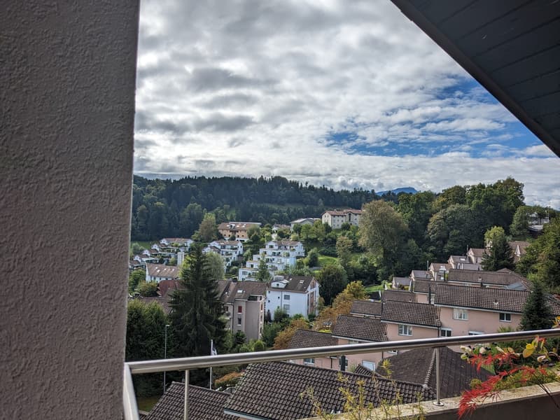 Sehr helle 2,5 Zimmer Wohnung mit toller Aussicht auf Rigi und Pilatus (6)