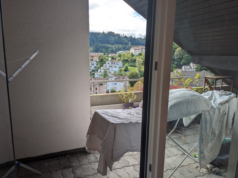 Sehr helle 2,5 Zimmer Wohnung mit toller Aussicht auf Rigi und Pilatus (5)