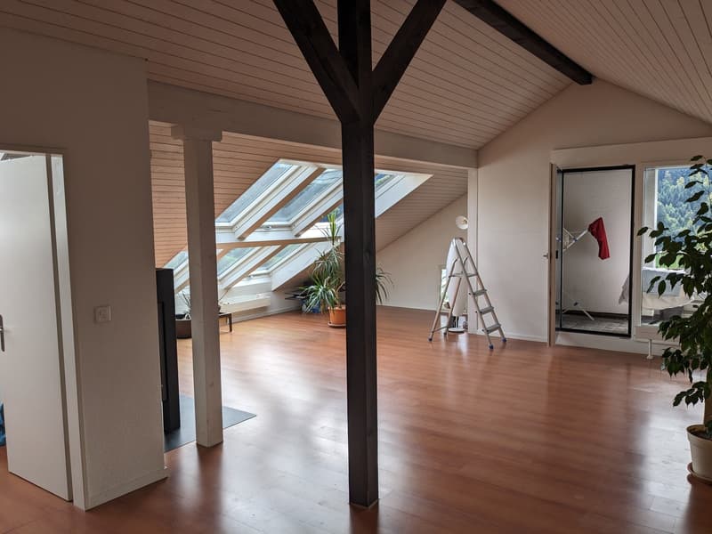 Sehr helle 2,5 Zimmer Wohnung mit toller Aussicht auf Rigi und Pilatus (1)