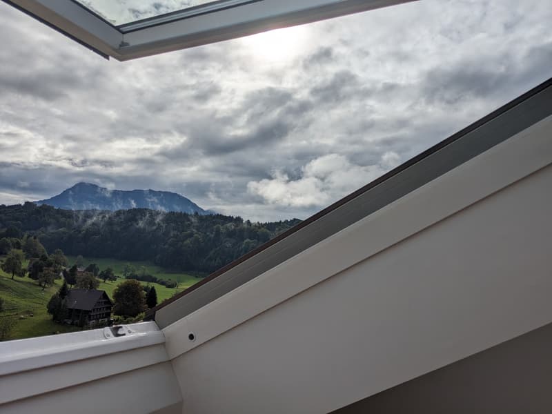 Sehr helle 2,5 Zimmer Wohnung mit toller Aussicht auf Rigi und Pilatus (4)