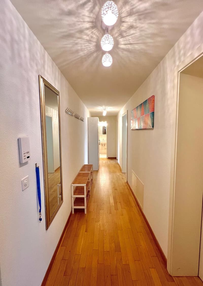 Grosses Zimmer 5min vom Zürich HB :) (5)