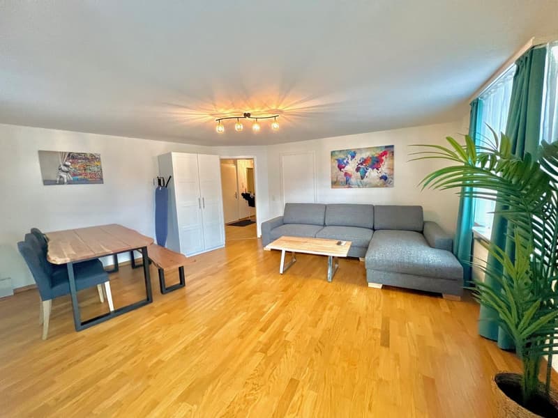Grosses Zimmer 5min vom Zürich HB :) (3)