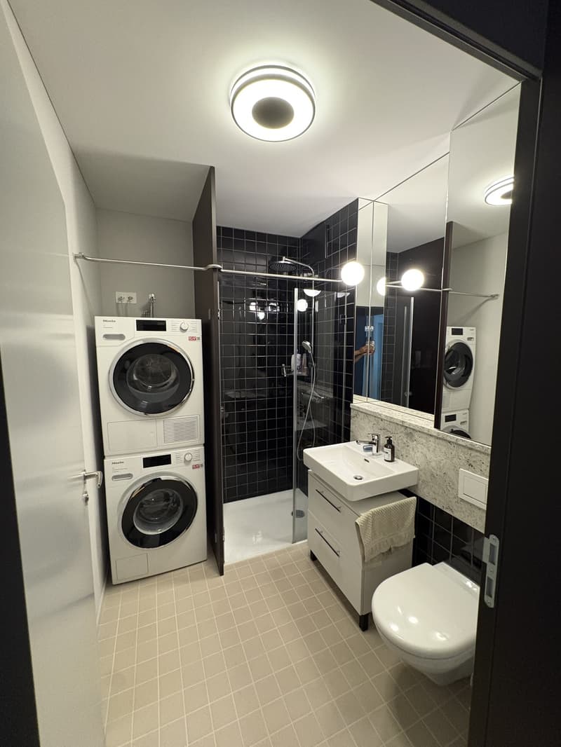 3.5 Zimmer Neubauwohnung am Milchbuck (3)