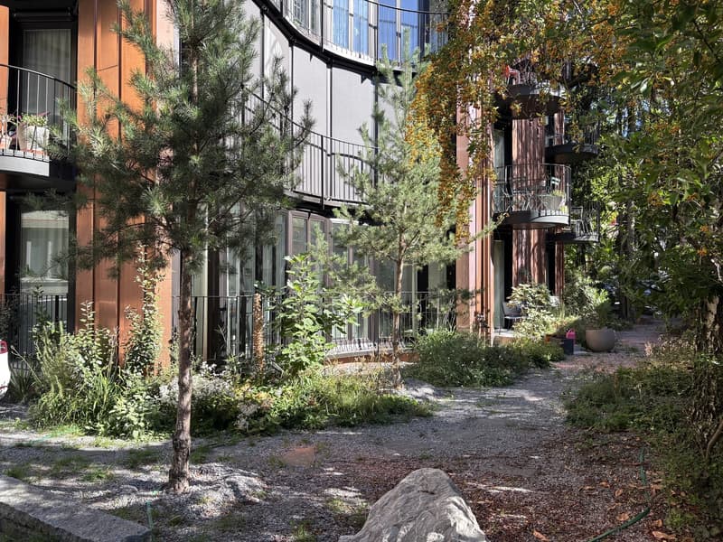 3.5 Zimmer Neubauwohnung am Milchbuck (8)