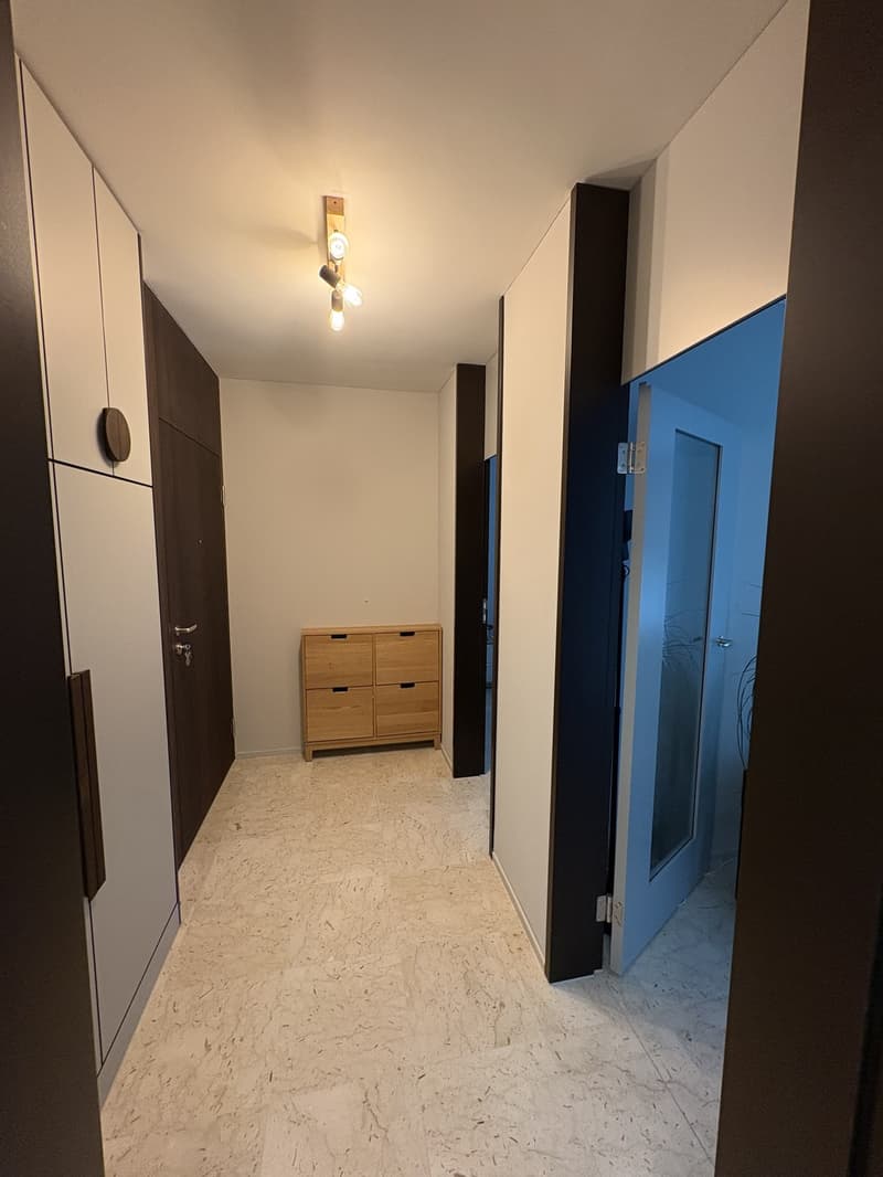 3.5 Zimmer Neubauwohnung am Milchbuck (4)
