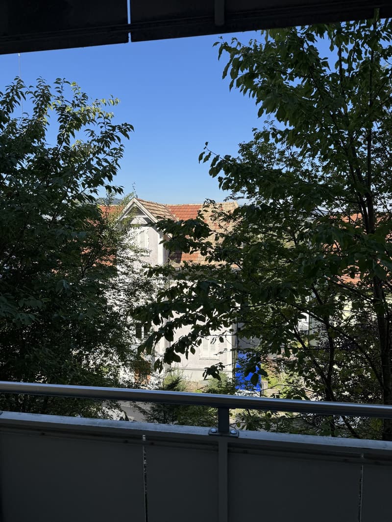Suche Nachmieter für charmante 2,5 Zimmer-Wohnung mit Balkon in St. Gallen. (11)