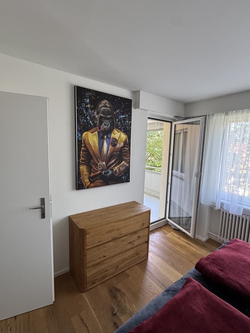 Suche Nachmieter für charmante 2,5 Zimmer-Wohnung mit Balkon in St. Gallen. (8)