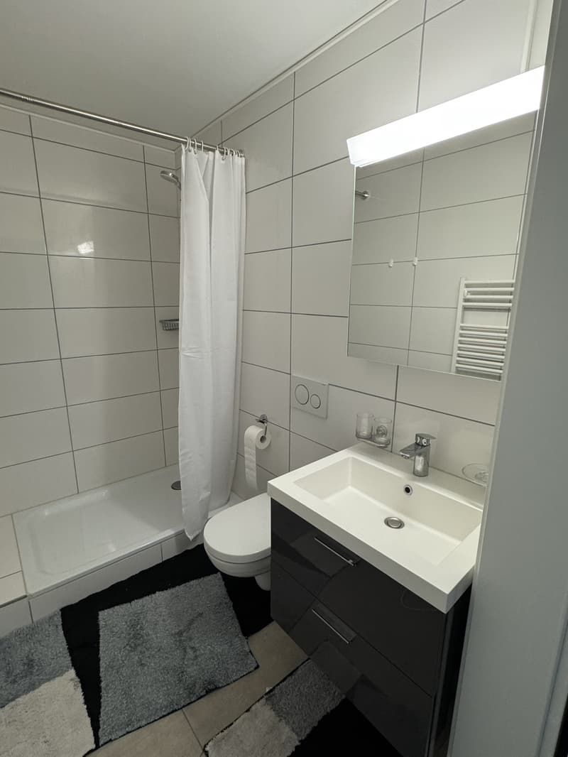 Suche Nachmieter für charmante 2,5 Zimmer-Wohnung mit Balkon in St. Gallen. (7)