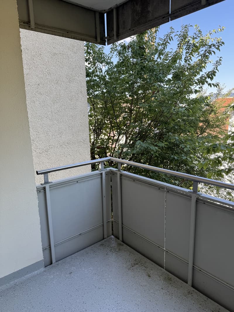 Suche Nachmieter für charmante 2,5 Zimmer-Wohnung mit Balkon in St. Gallen. (10)