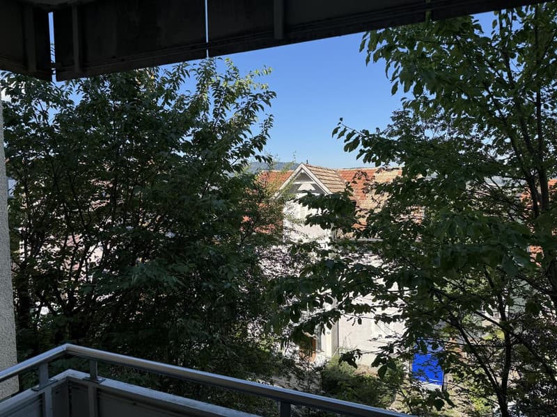 Suche Nachmieter für charmante 2,5 Zimmer-Wohnung mit Balkon in St. Gallen. (12)