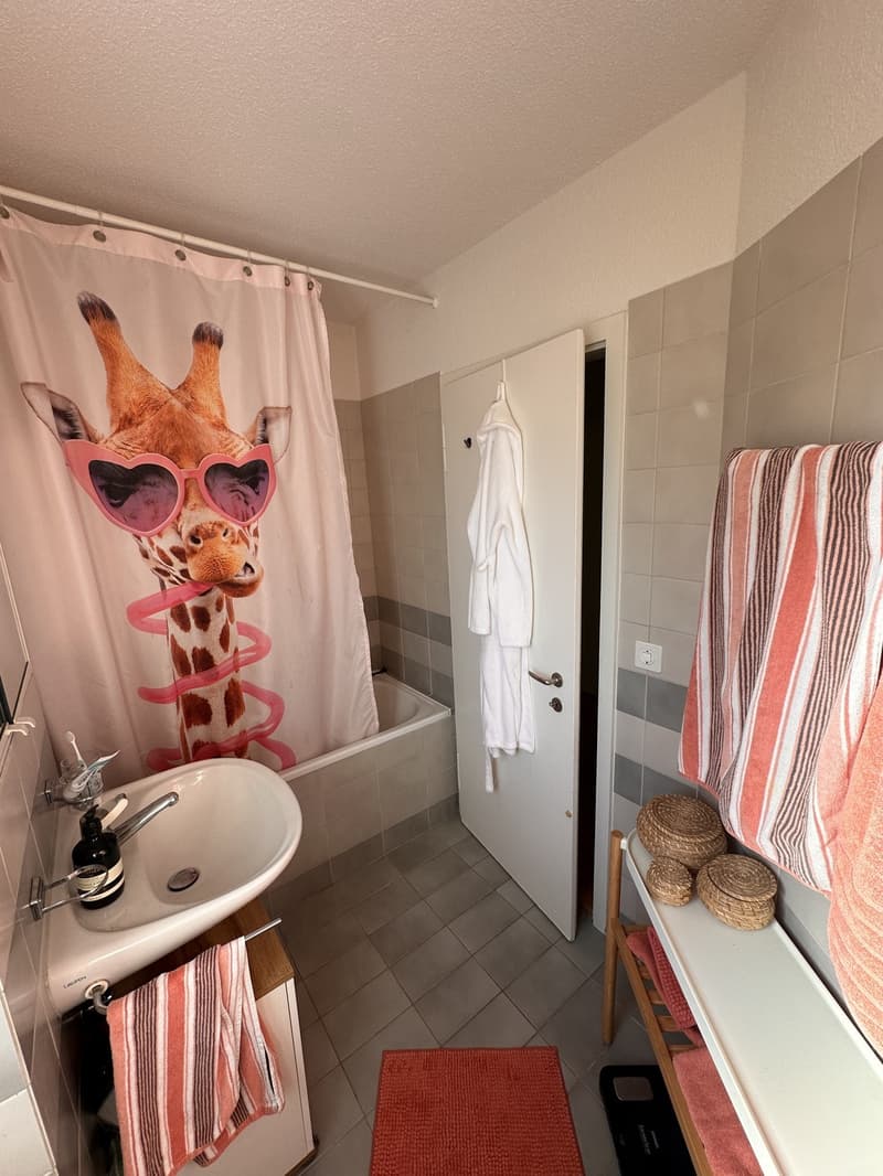 2 room appartment for sublease (6)