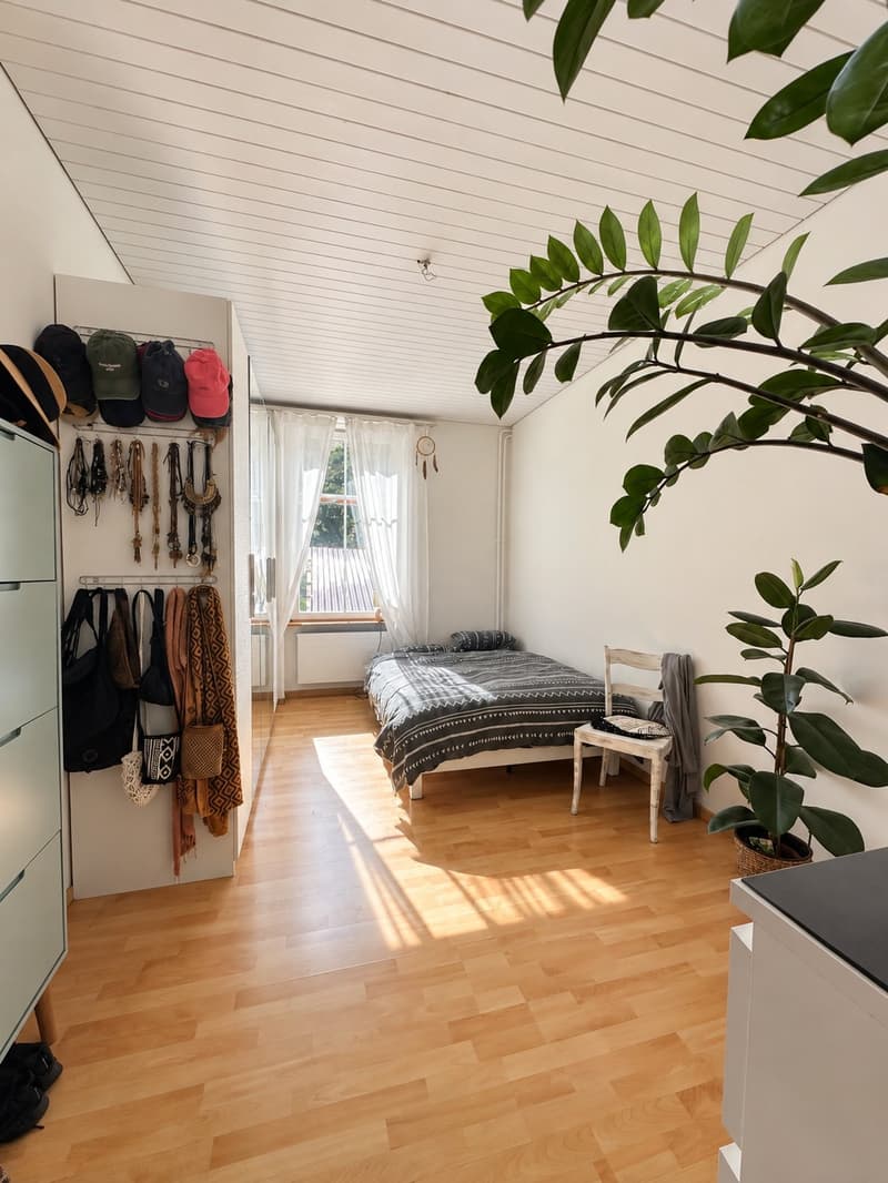 Möblierte 2-Zimmer-Wohnung im St. Johann (5)