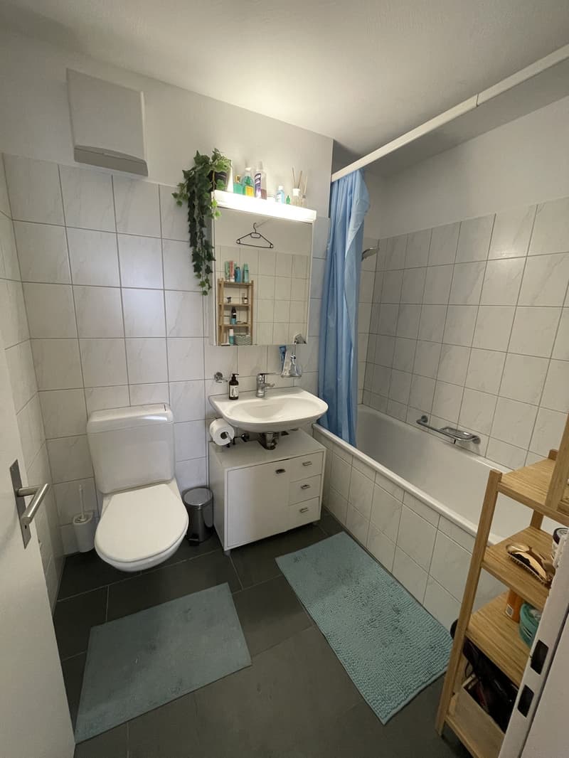 WG Zimmer (4)