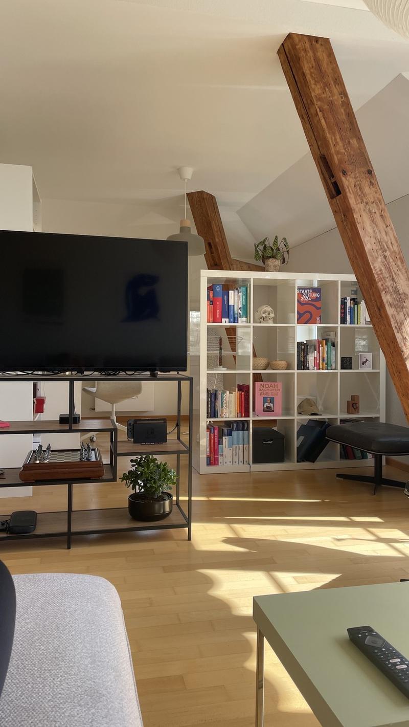 Grosszügige, lichtdurchflutete 2.5-Zimmer Wohnung im beliebten Inneren Lind Quartier (3)