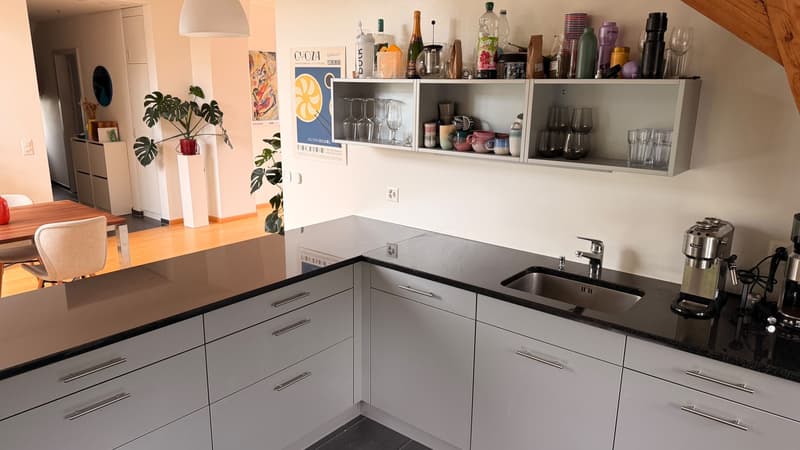 Grosszügige, lichtdurchflutete 2.5-Zimmer Wohnung im beliebten Inneren Lind Quartier (6)