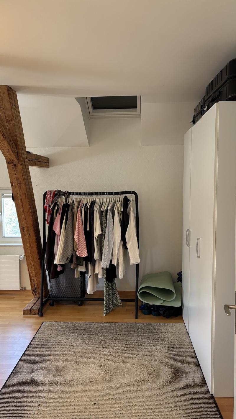 Grosszügige, lichtdurchflutete 2.5-Zimmer Wohnung im beliebten Inneren Lind Quartier (9)