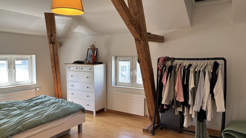Grosszügige, lichtdurchflutete 2.5-Zimmer Wohnung im beliebten Inneren Lind Quartier (10)