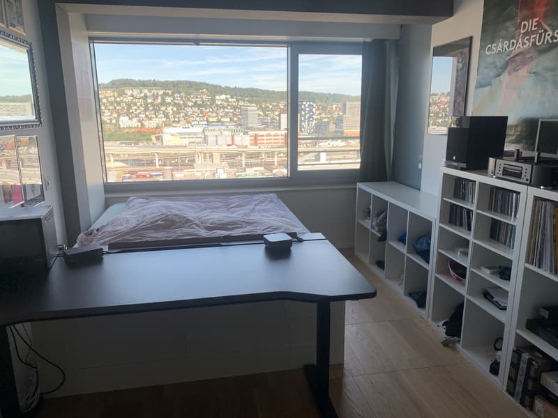 Traum Aussicht über Zürich aus dem 17. Stock (4)