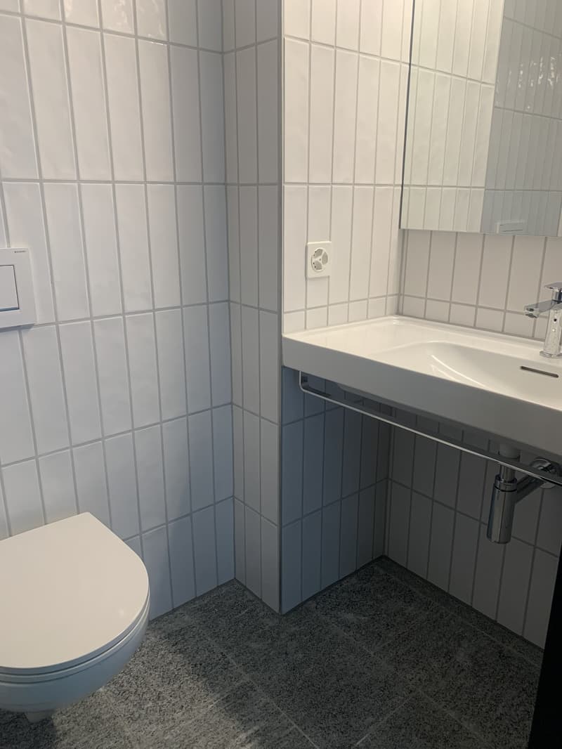 Traum Aussicht über Zürich aus dem 17. Stock (9)