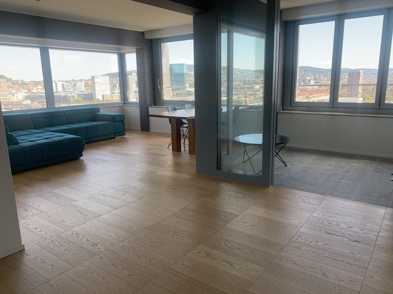 Traum Aussicht über Zürich aus dem 17. Stock (10)
