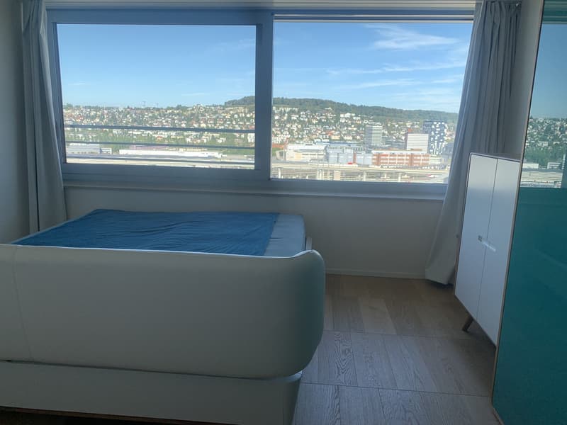 Traum Aussicht über Zürich aus dem 17. Stock (6)