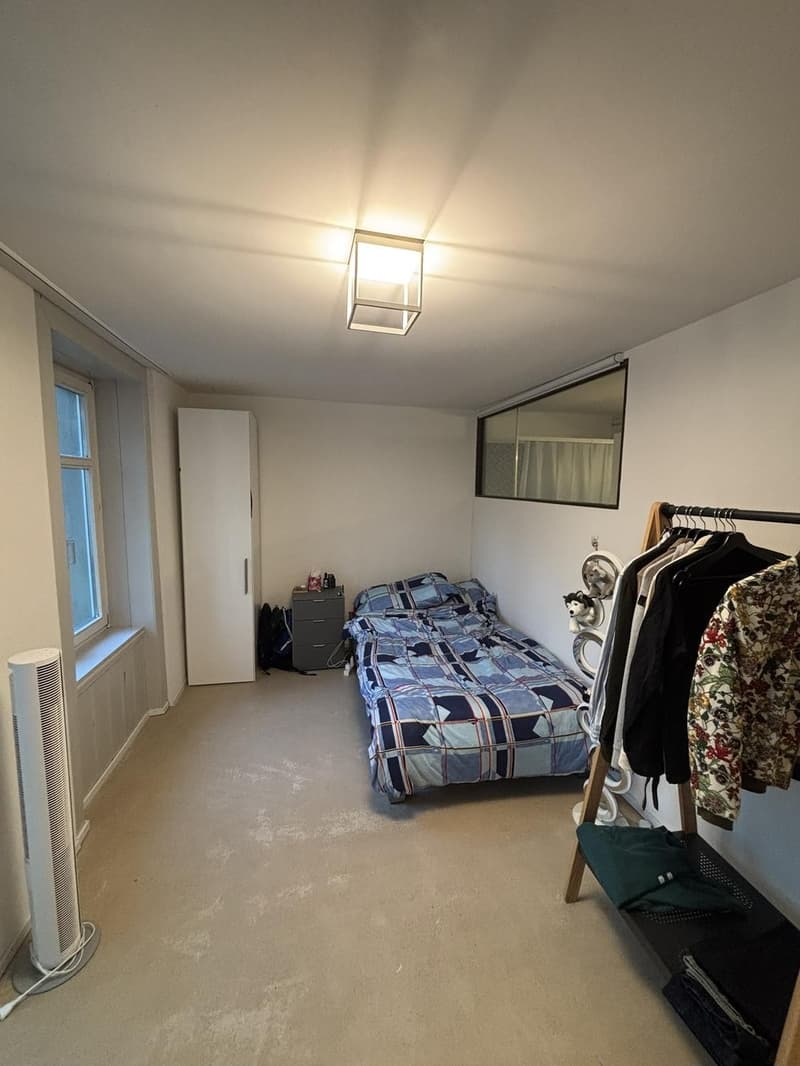 Möblierte 2.5-Zimmer-Wohnung in Winterthur befristet für 6 Monate (7)