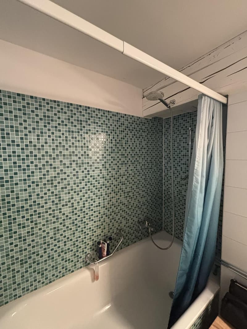 Möblierte 2.5-Zimmer-Wohnung in Winterthur befristet für 6 Monate (13)