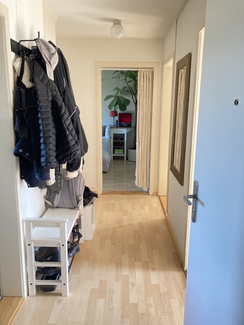 Möblierte 3-Zimmer-Wohnung in Luzern befristet mind. 1 Jahr (3)