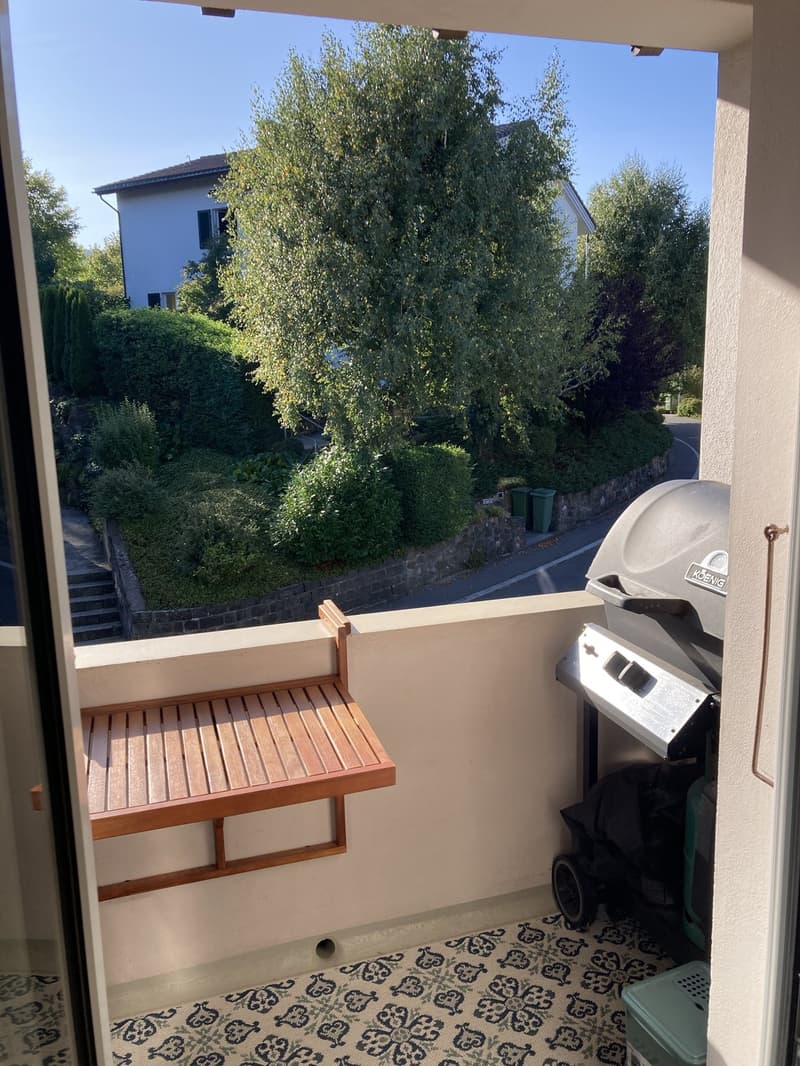 Möblierte 3-Zimmer-Wohnung in Luzern befristet mind. 1 Jahr (2)