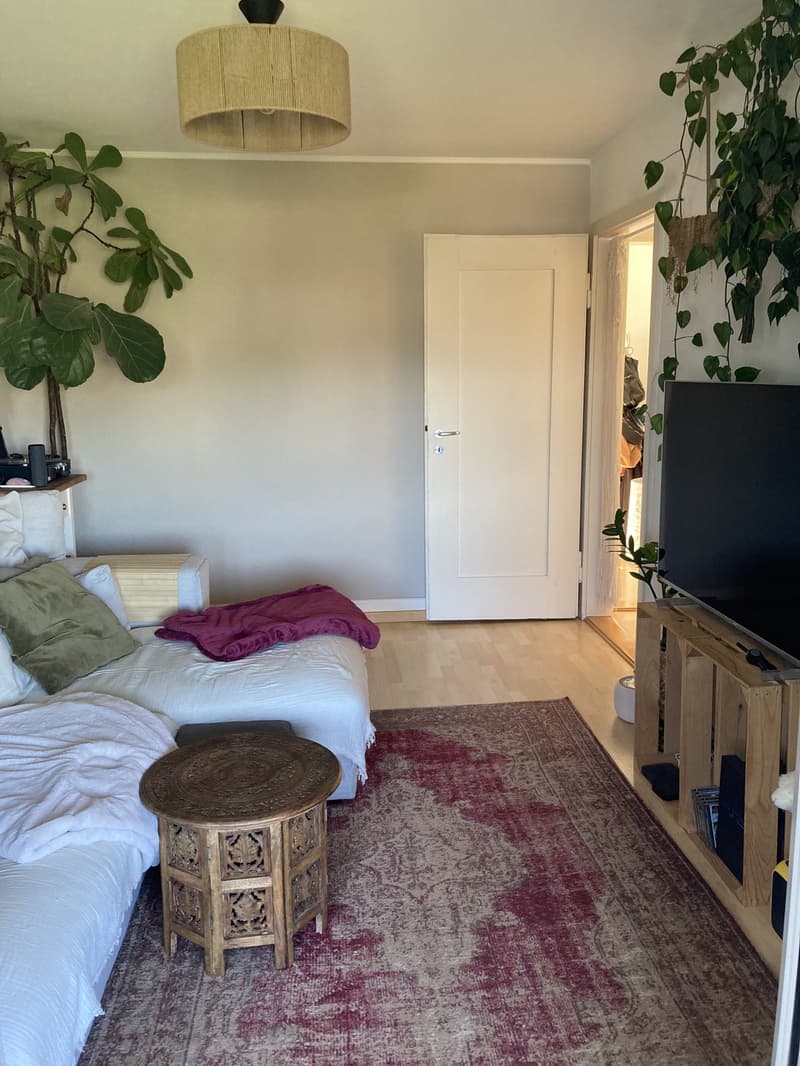 Möblierte 3-Zimmer-Wohnung in Luzern befristet mind. 1 Jahr (8)