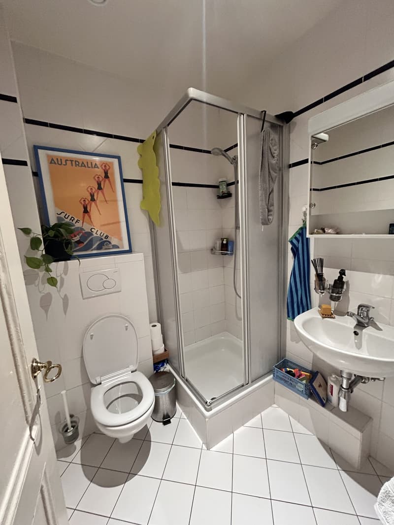 Beautiful and Bright 5-Room Apartment in the Heart of Carouge (5)