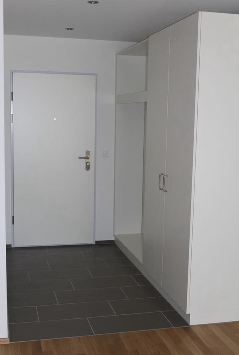 3 ½ Zimmer-Wohnung, 9242 Oberuzwil (8)