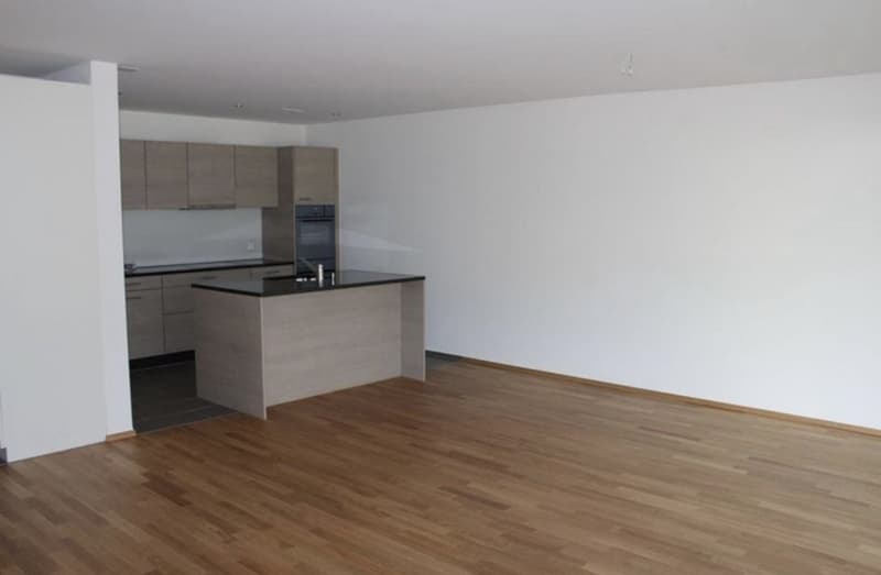 3 ½ Zimmer-Wohnung, 9242 Oberuzwil (1)