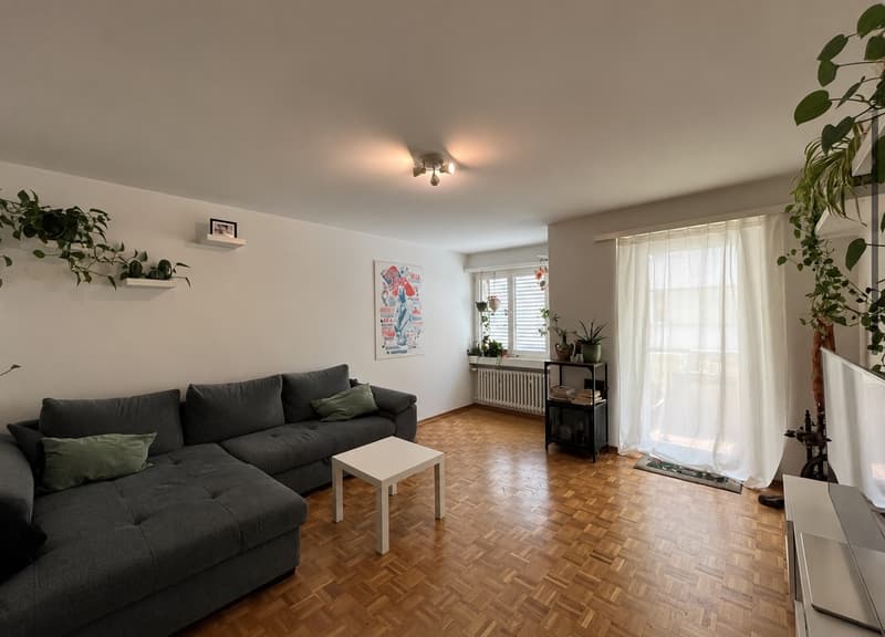 WG-Zimmer in Luzern | Wochenaufenthalterin gesucht (7)