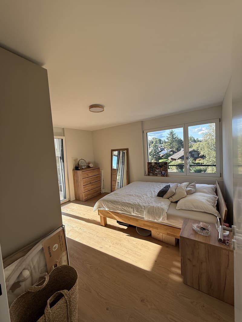 2.5-Zimmer-Wohnung in Bertschikon (9)