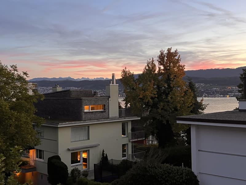 Nachmieter gesucht ruhige 4.5-Zimmerwohnung mit See- und Bergsicht (4)