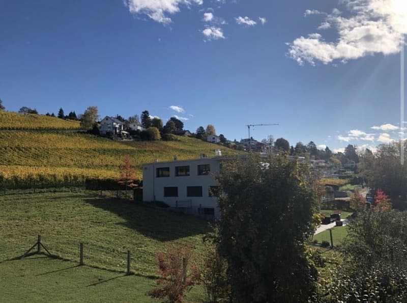 Nachmieter gesucht ruhige 4.5-Zimmerwohnung mit See- und Bergsicht (12)